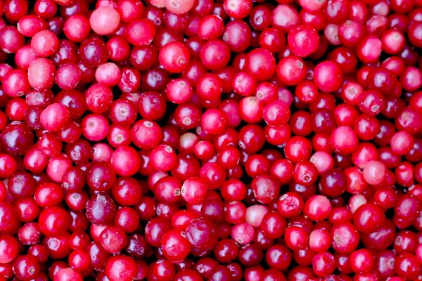 Cranberries